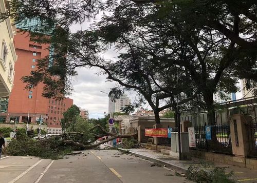 廈門部分景區及輪渡航線臨時關閉緊急通知
